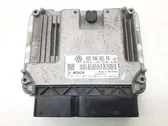 Engine control unit/module ECU