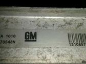 Intercooler radiator