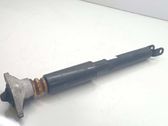 Stoßdämpfer hinten