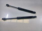 Front bonnet/hood damper/strut