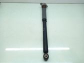 Rear shock absorber/damper
