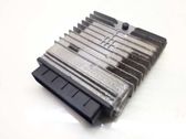 Engine control unit/module ECU