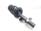 Amortiguador delantero con muelle espiral