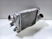 Radiador intercooler