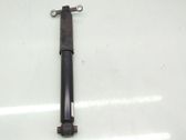 Rear shock absorber/damper