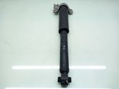 Stoßdämpfer hinten