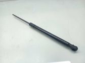 Front bonnet/hood damper/strut
