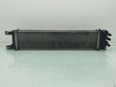 Intercooler radiator