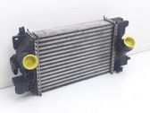 Intercooler radiator