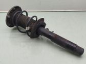 Amortiguador delantero con muelle espiral