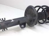 Front shock absorber with coil spring