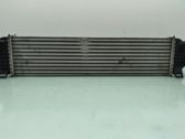 Radiador intercooler