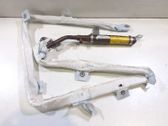 Airbag de la puerta delantera