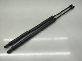 Tailgate/trunk strut/damper