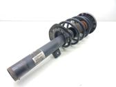 Front shock absorber with coil spring