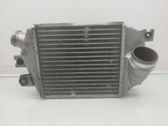 Intercooler radiator