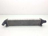 Radiador intercooler