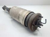 Front shock absorber with coil spring