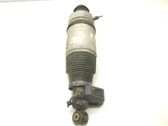 Stoßdämpfer hinten