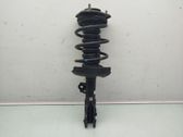 Front shock absorber with coil spring
