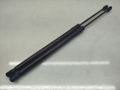 Tailgate/trunk strut/damper