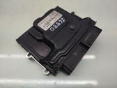 Engine control unit/module ECU