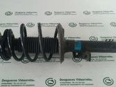 Front shock absorber with coil spring
