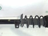 Amortiguador delantero con muelle espiral