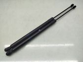 Tailgate/trunk strut/damper