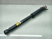 Rear shock absorber/damper