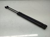Tailgate/trunk strut/damper