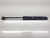 Tailgate/trunk strut/damper