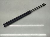 Tailgate/trunk strut/damper