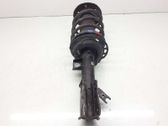 Front shock absorber with coil spring