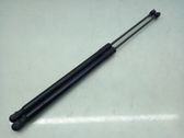 Tailgate/trunk strut/damper