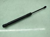 Front bonnet/hood damper/strut