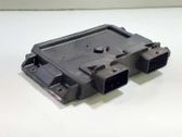 Engine control unit/module ECU