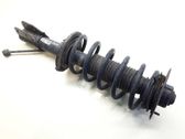 Front shock absorber with coil spring