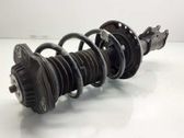 Front shock absorber with coil spring