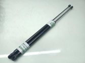 Tailgate/trunk strut/damper