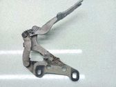 Bisagras del capó/tapa del motor