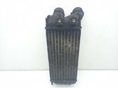 Intercooler radiator