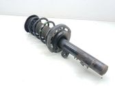 Amortiguador delantero con muelle espiral