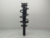 Amortiguador delantero con muelle espiral