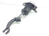 Amortiguador delantero con muelle espiral