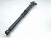 Stoßdämpfer hinten