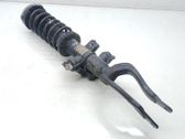 Front shock absorber with coil spring