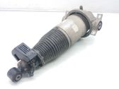 Rear shock absorber/damper