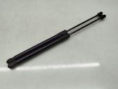 Tailgate/trunk strut/damper