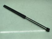 Tailgate/trunk strut/damper